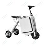 Folding 20-inch parent-child men and women the elderly scooter electric cycling travel boarding luggage lithium electric car