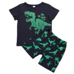 Kids Baby Dinosaur Printed Outfits Boys Girls Short Sleeve Shirts Shorts 2PCS Sets Summer Holiday Clothes Set Lounge Wear Suit Toddler Casual Sports Outfit Tops Half Trousers Cotton Suits 1-8Years